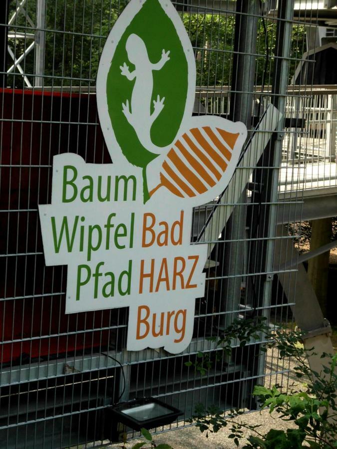 Waldoase I Inkl Sauna-Und Schwimmbadnutzung Bad Harzburg Exteriör bild